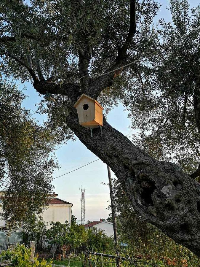 Apartman Nikocevic Dobra Voda Kültér fotó